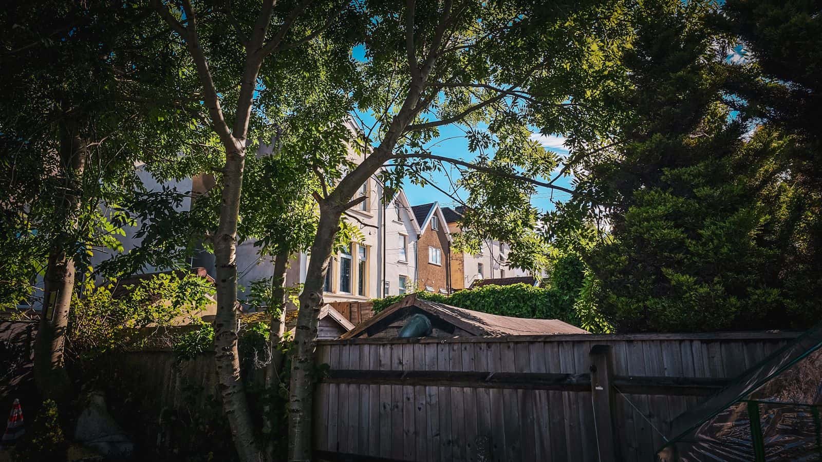 Backyard with tall shade trees over a fence and neighboring houses
